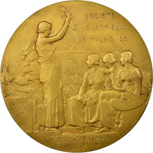 France, Médaille, Société Industrielle de Mulhouse, Dammann, SUP, Vermeil