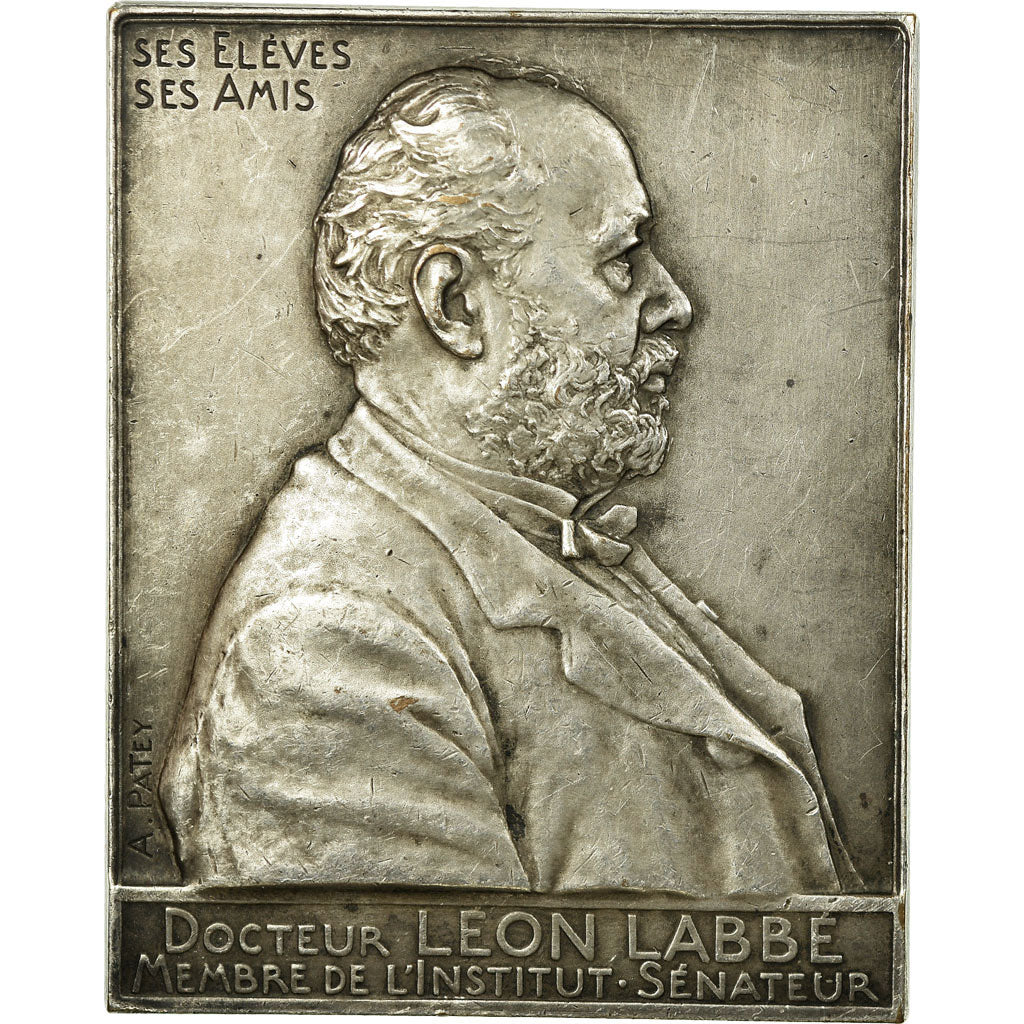 France, Médaille, Docteur Léon Labbé, Institut-Sénateur, Patey, TTB+