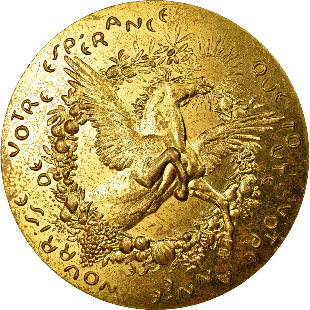 Francia, medaglia, Voeux, Nouvelle Année, Animaux, 1973, BB, Bronzo dorato