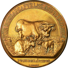 Sweden, Medal, Agriculture, Prisbelöning, Malmö, Lindberg, AU(50-53), Bronze