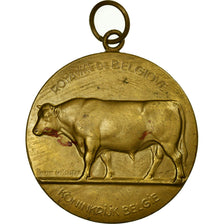 Belgium, Medal, Agriculture, Namur, De Meester, AU(50-53), Bronze