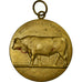 Belgium, Medal, Agriculture, Namur, De Meester, AU(50-53), Bronze