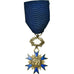 Francia, Ordre National du Mérite, medaglia, Ottima qualità, Bronzo argentato