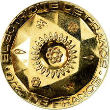 Frankrijk, Medaille, Électricité de France et gaz de France, UNC-, Gilt Bronze