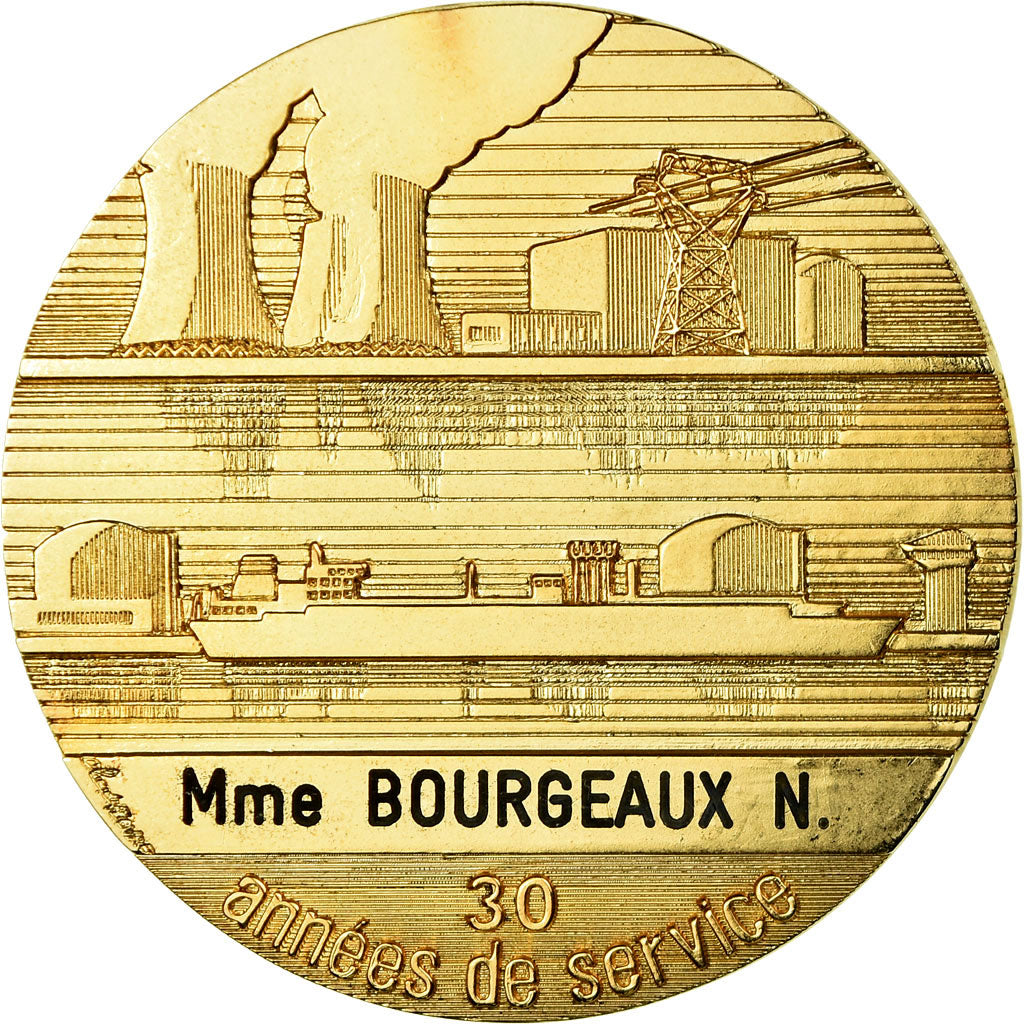 Frankrijk, Medaille, Électricité de France et gaz de France, UNC-, Gilt Bronze