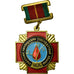 Russia, Médaille de Tchernobyl, Medal, Uncirculated, Bronze, 36