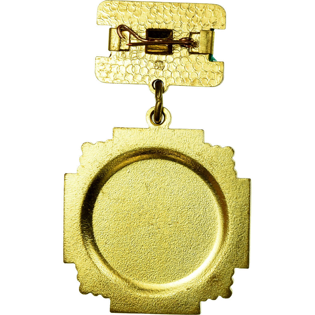 Russia, Médaille de Tchernobyl, Medal, Uncirculated, Bronze, 36