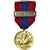 Francia, Armée Nation, Bâtiments de Combat, medalla, Sin circulación, Bronce