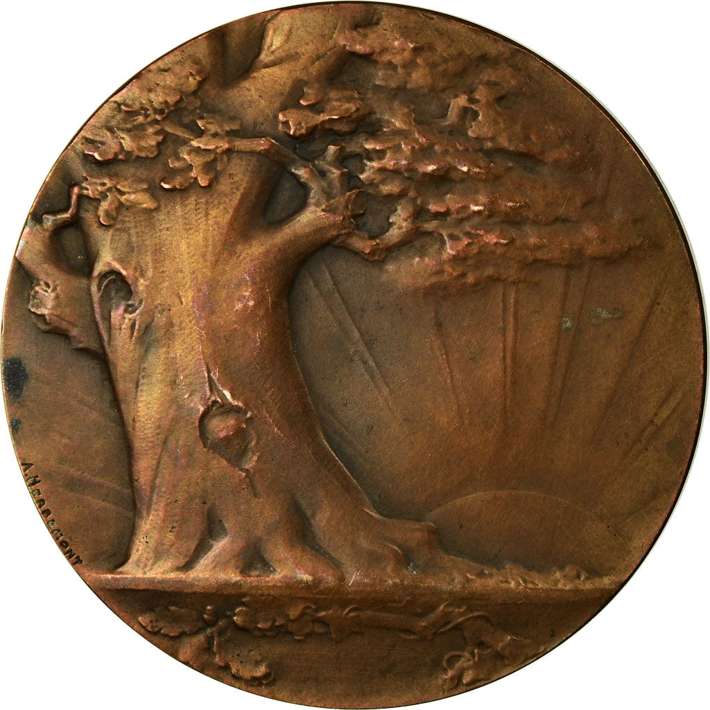 France, Medal, Société d'Enseignement Moderne, 1884, Albert Herbemont
