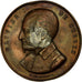 France, Medal, Olivier de Serres, Comice de Sezanne, Montmirail, 1888, De