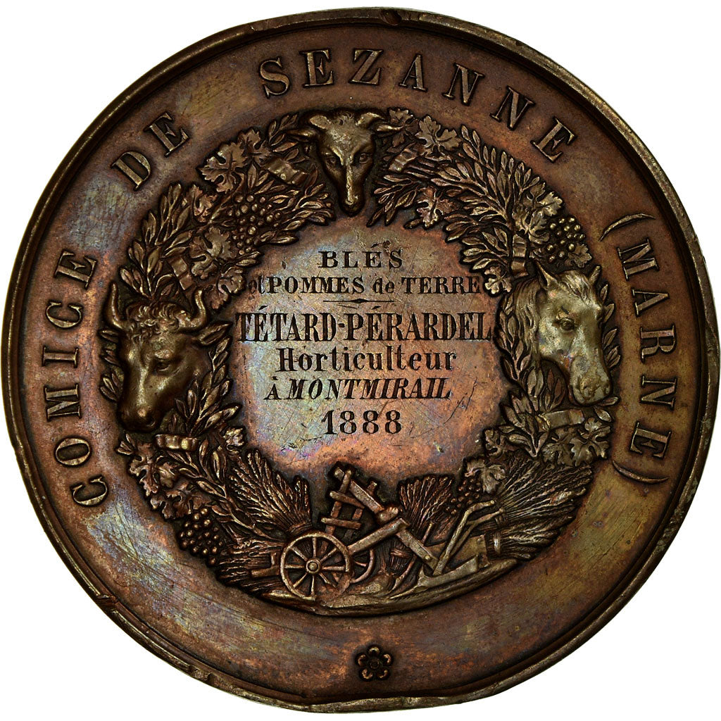 France, Medal, Olivier de Serres, Comice de Sezanne, Montmirail, 1888, De