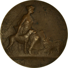 Francia, medalla, Art Nouveau, Femme et Chiens, Borgeaud, BC+, Bronce