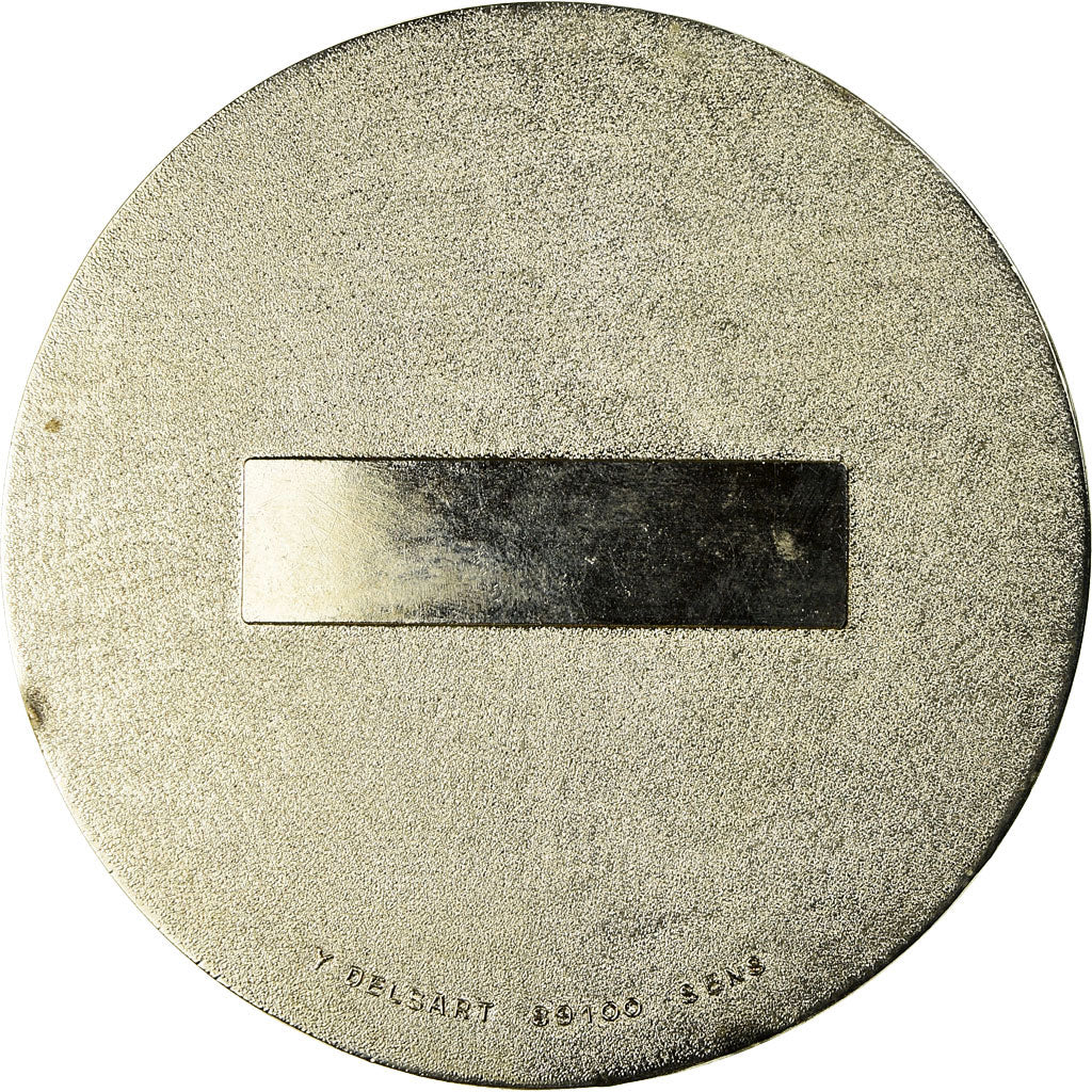 France, Médaille, Armée, 10ème Régiment R.C.S, Delsart, SUP, Silvered bronze