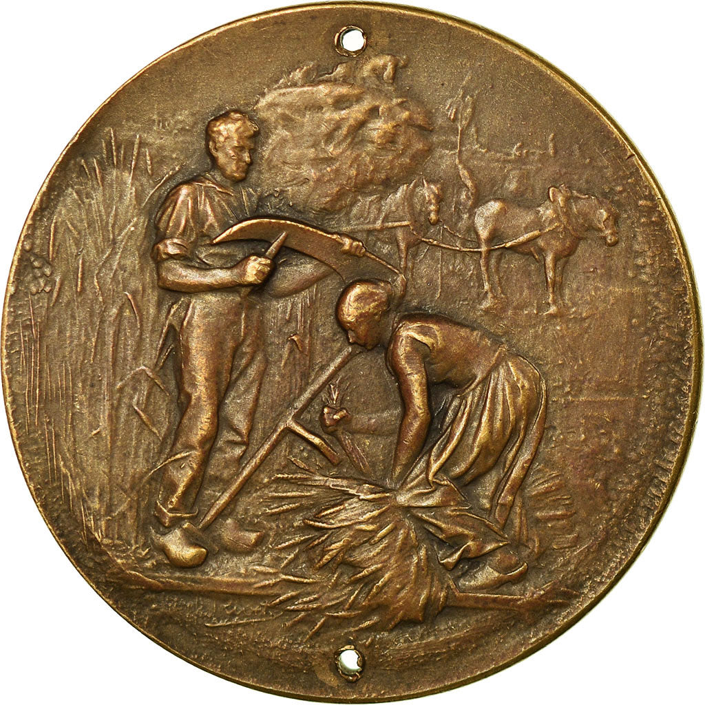 France, Medal, Comice Agricole de Sedan, Rivet, AU(50-53), Bronze