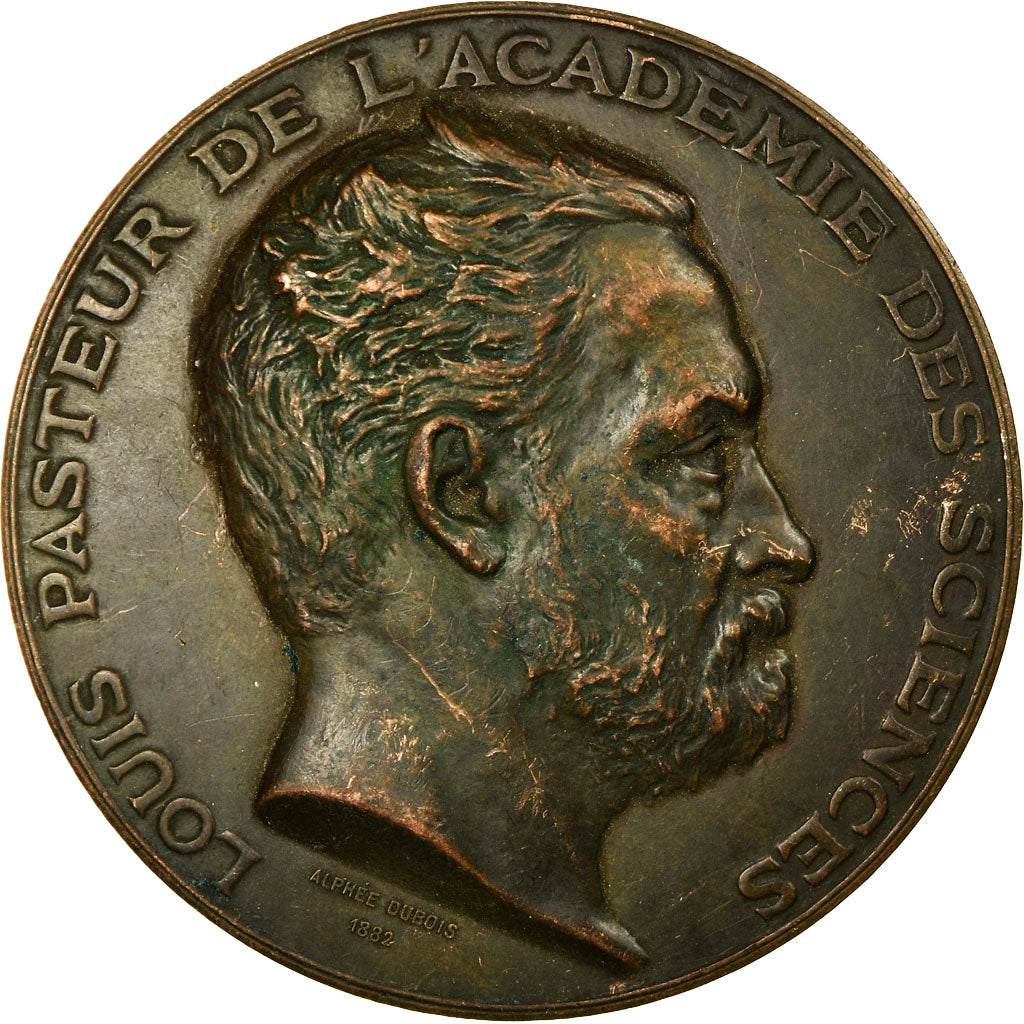 France, Medal, Louis Pasteur, Académie des Sciences, 1882, Dubois.A, EF(40-45)