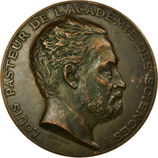 France, Medal, Louis Pasteur, Académie des Sciences, 1882, Dubois.A, EF(40-45)