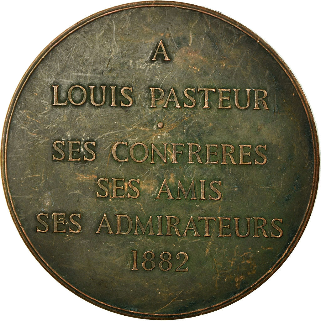 France, Medal, Louis Pasteur, Académie des Sciences, 1882, Dubois.A, EF(40-45)
