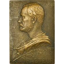 Francia, medaglia, Louis Pasteur, Sciences & Technologies, 1895, Prud'homme.G