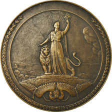 Finland, Medal, Indépendance de la Finlande, 1917, Wikström, AU(55-58), Bronze
