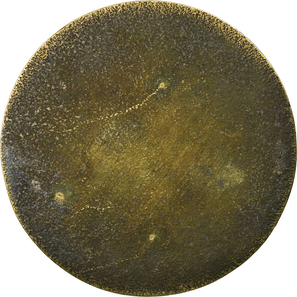 França, Medal, EDPAMS, les Compagnons de l'Argonne, 2008, AU(50-53), Bronze