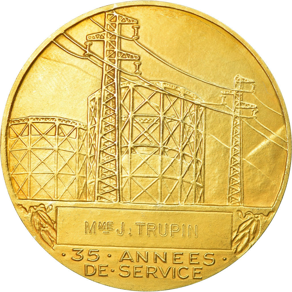 France, Médaille, Électricité de France et gaz de France, Dropsy, SPL, Gilt