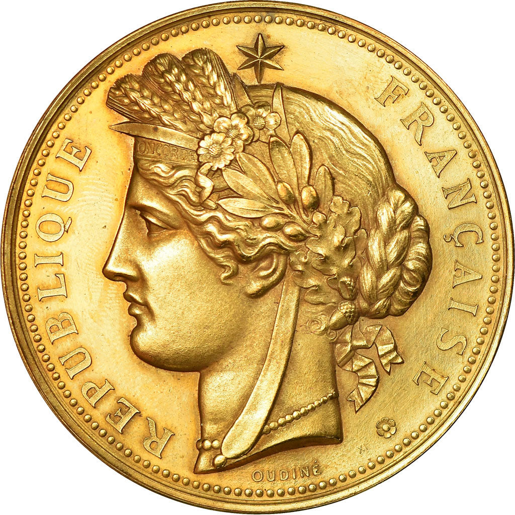 France, Medal, Exposition Universelle de Paris, Trocadéro, 1878, Oudiné
