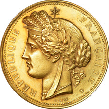 France, Medal, Exposition Universelle de Paris, Trocadéro, 1878, Oudiné