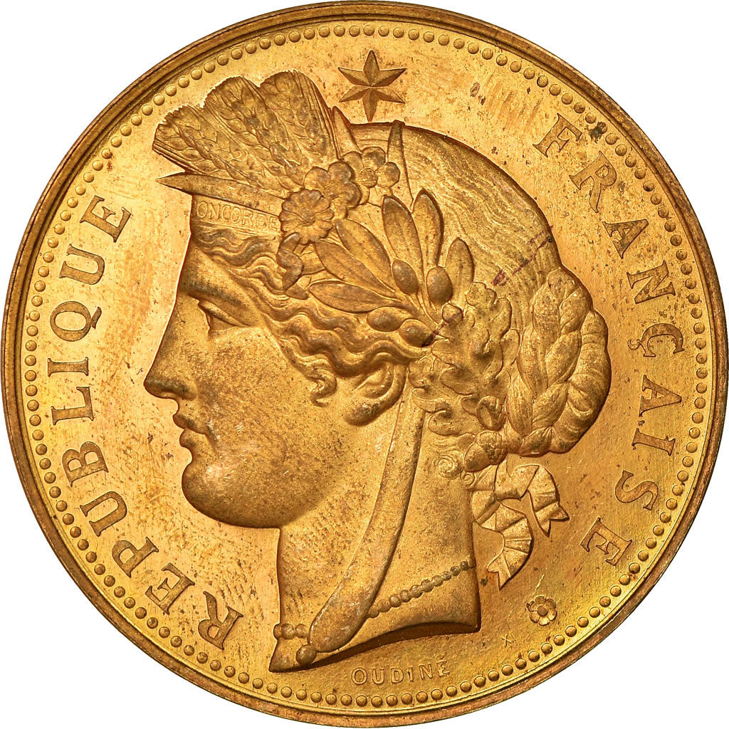 France, Médaille, Exposition Universelle de Paris, Trocadéro, 1878, Oudiné