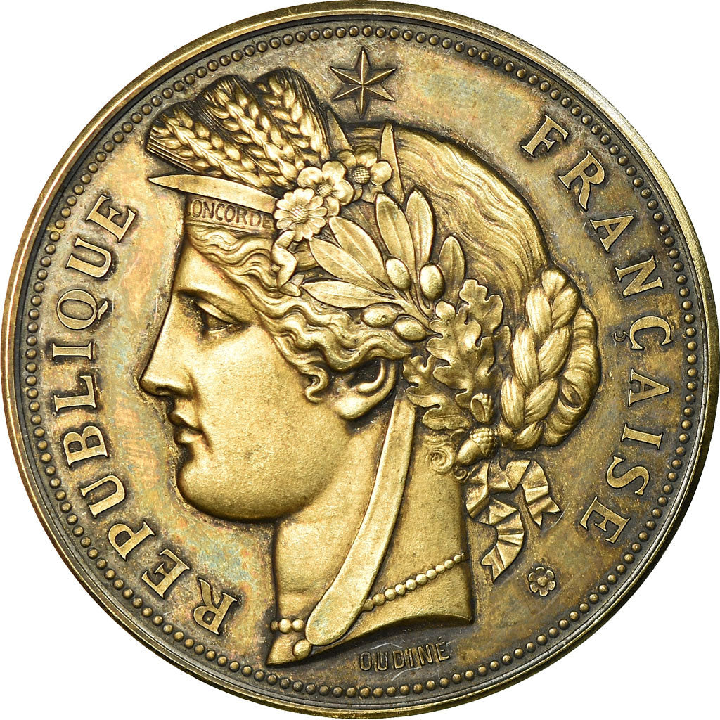 Francia, medaglia, Société de Tir du 5ème Régiment d'Infanterie