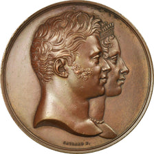 Francja, Medal, Louis XVIII, Naissance d'Henri, Duc de Bordeaux, 1820, Gayrard