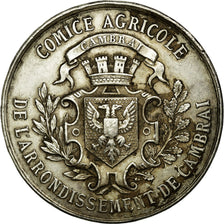 Frankrijk, Token, Agriculture and Horticulture, 1875, ZF+, Zilver