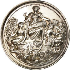 France, Medal, Comice Agricole de Vouziers, Ardennes, MS(63), Silver
