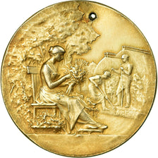 France, Medal, Société d'Horticulture de l'arrondissement de Valenciennes