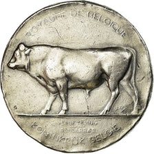 Bélgica, medalla, Agriculture, Concours de Région, Liège, 1906, MBC, Plata