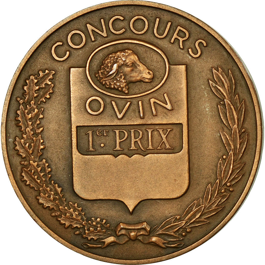 Algeria, Médaille, Association Ovine Algérienne, Baron, SPL, Bronze