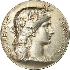 Algeria, Medaille, Société Mixte de Tir de Tebessa, 1894, Dupuis.D, SS+