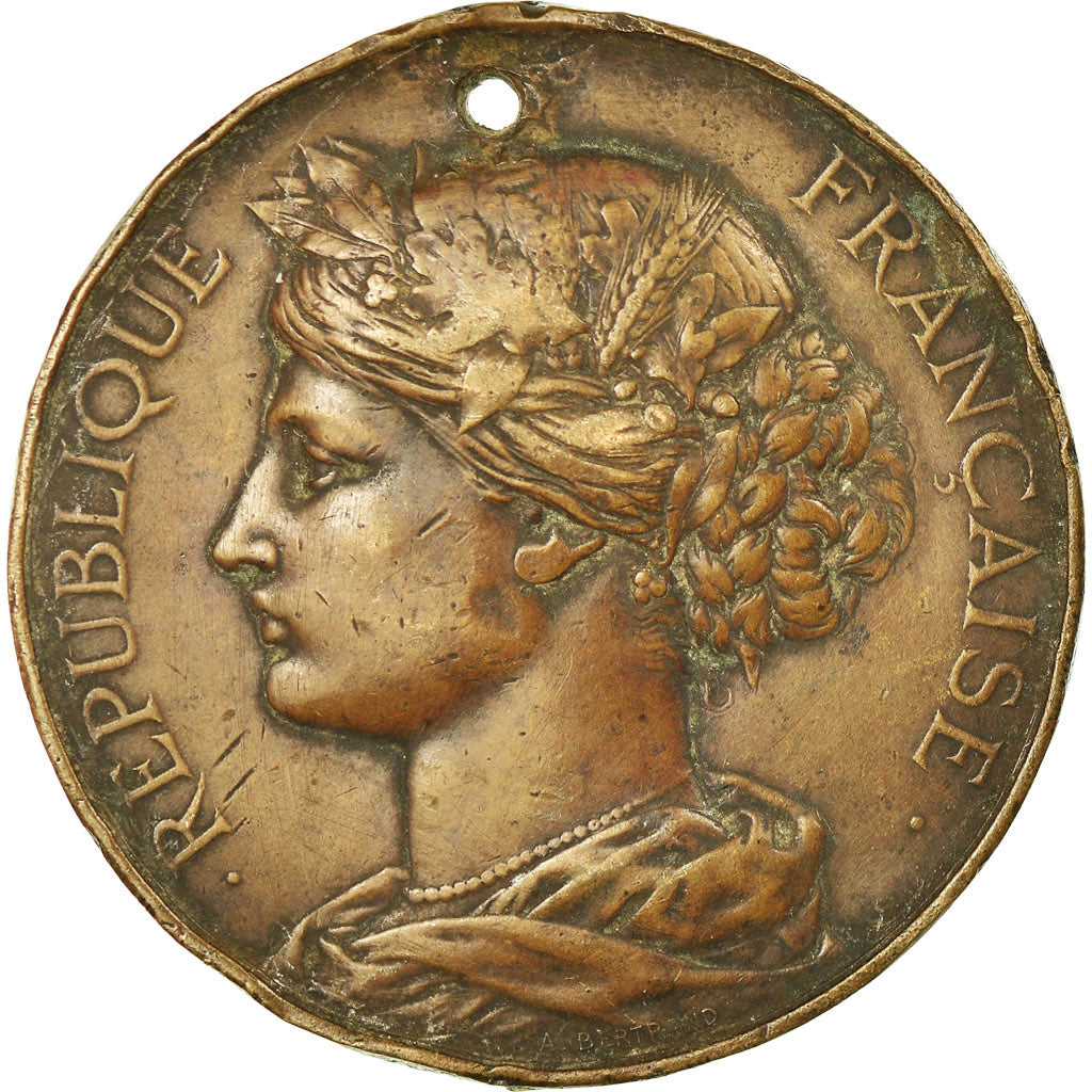 Francia, medaglia, Société de Secours Mutuels de Saint-Leu, 1899, Arthus
