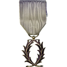France, Ordre des Palmes Académiques, Médaille, Très bon état, Silvered