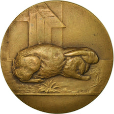 Frankrijk, Medaille, Les Aviculteurs du Nord de la France, Joly, PR+, Bronze
