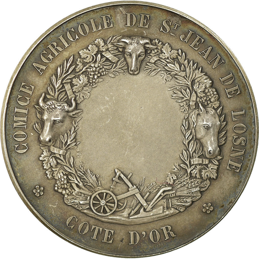 Francja, Medal, Comice Agricole de Saint-Jean de Losne, Côte d'Or, MS(60-62)