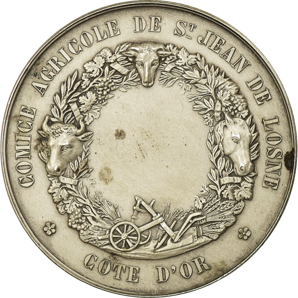 France, Medal, Comice Agricole de Saint-Jean de Losne, Côte d'Or, Rogat