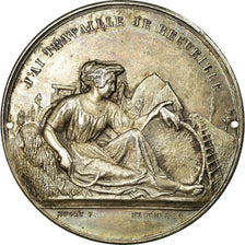 France, Medal, Comice Agricole de Saint-Jean de Losne, Côte d'Or, Rogat