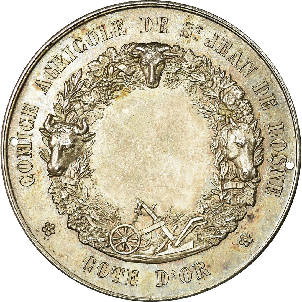 France, Medal, Comice Agricole de Saint-Jean de Losne, Côte d'Or, Rogat