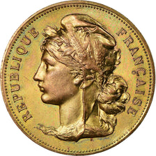 Francia, medalla, Comice Agricole de l'Arondissement de Chinon, Langeais, 1896