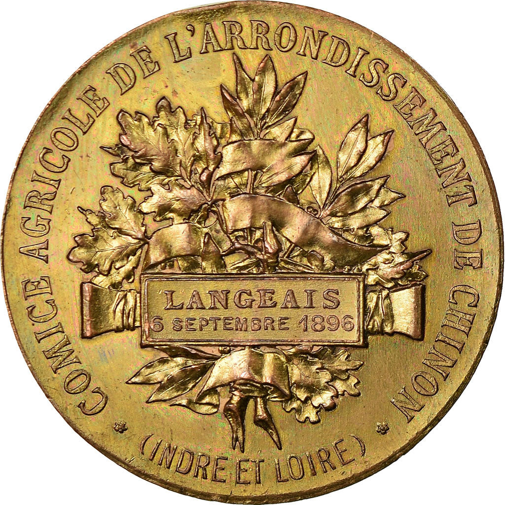 Francia, medalla, Comice Agricole de l'Arondissement de Chinon, Langeais, 1896