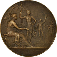 França, Medal, Art Nouveau, Concours de Tir, Dubois.A, AU(55-58), Bronze