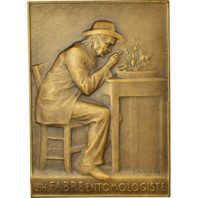 France, Médaille, J.H Fabre, Entomologiste, 1911, Patriarche, SPL, Bronze