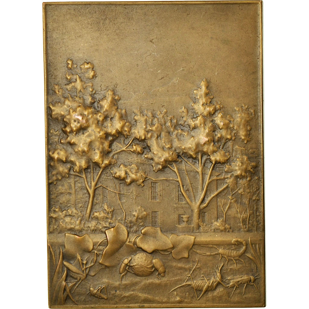 France, Médaille, J.H Fabre, Entomologiste, 1911, Patriarche, SPL, Bronze
