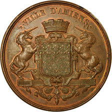 Francja, medal, Dénombrement Quinquennal, Ville d'Amiens, Society, 1891