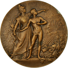France, Médaille, Art Nouveau, Préparation Militaire, Coudray, SUP, Bronze